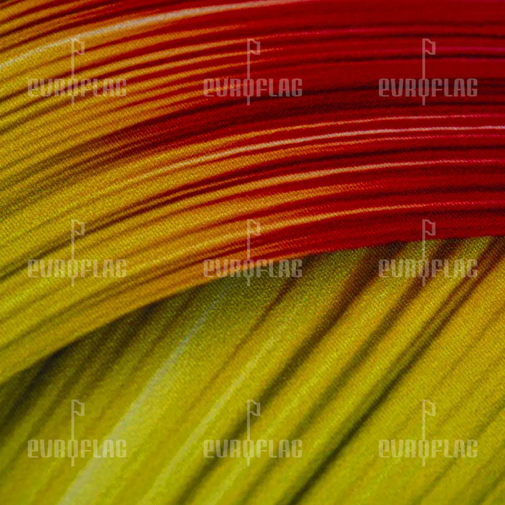 57_1-1000te1000.jpg