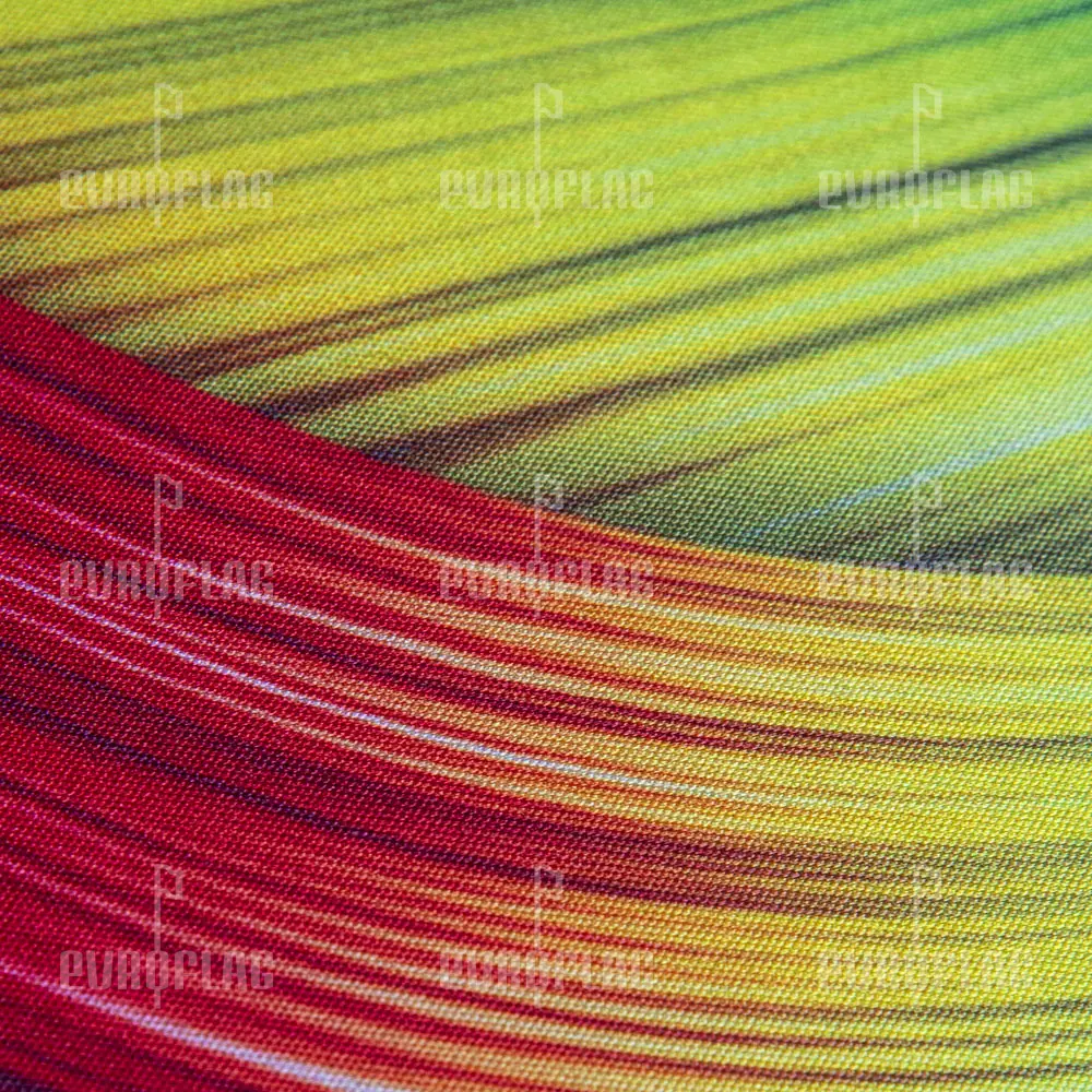 64_1-1000te1000-1.jpg